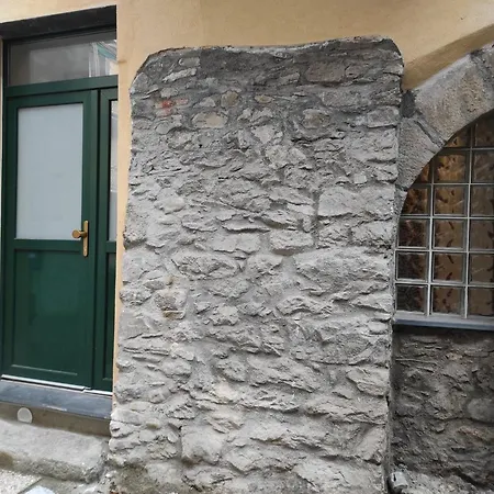 Elicriso * Borzonasca