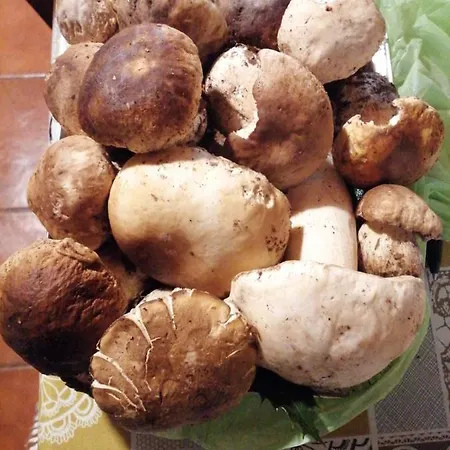 Gæstehus Elicriso Borzonasca