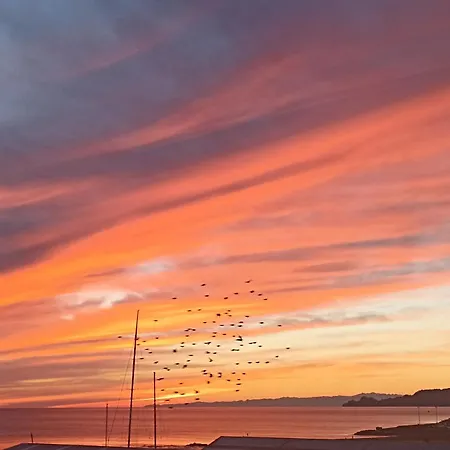 Elicriso * Borzonasca