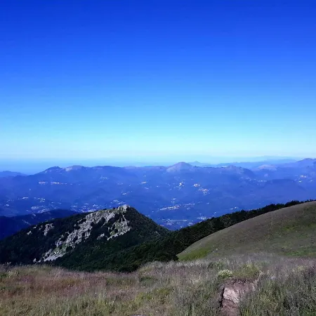 Elicriso Borzonasca