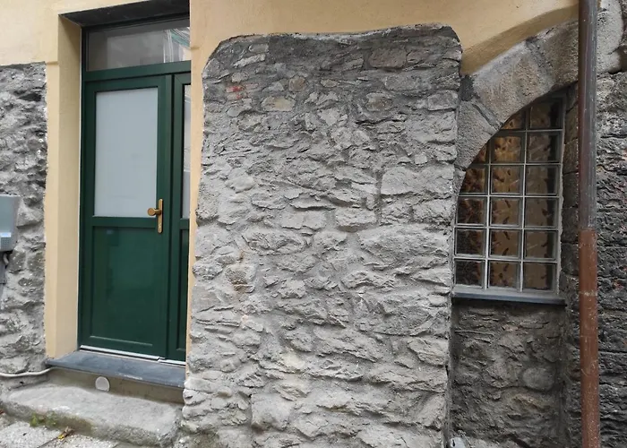 Elicriso * Borzonasca