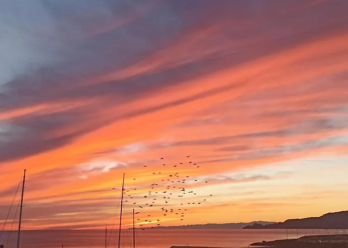 Elicriso * Borzonasca